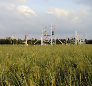 Instrumentation setup to sample emissions from grassland near Braunschweig Germany