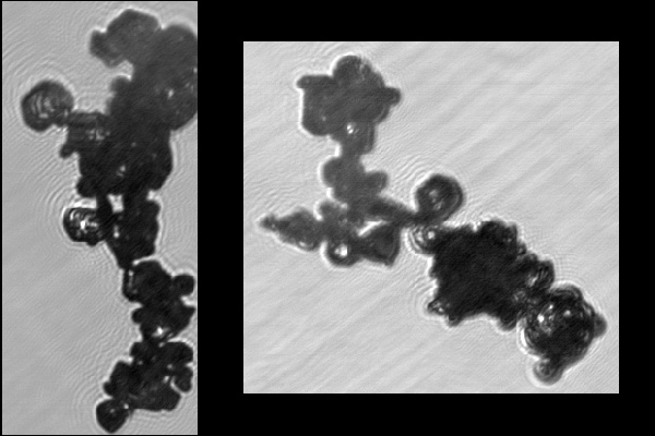 Formed from assemblages of plates and plate like habits. These crystals have been observed in anvil cloud produced by tropical convection, and in the laboratory under conditions of high electric field strengths. It is thought that charging of ice crystals in strong electric fields may favour the edge-edge chain arrangement of these crystals, which would not be expected to occur frequently in aggregates formed by random collisions.