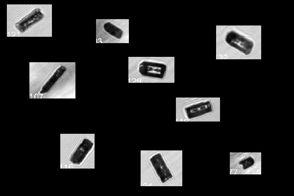 Columns are formed at colder temperatures than plates generally below -40C at a range of supersaturations. As with plates, column aspect ratio is influenced by temperature and supersaturation. Additionally columns may be solid, hollow, or scroll like. This image shows a variety of column types.