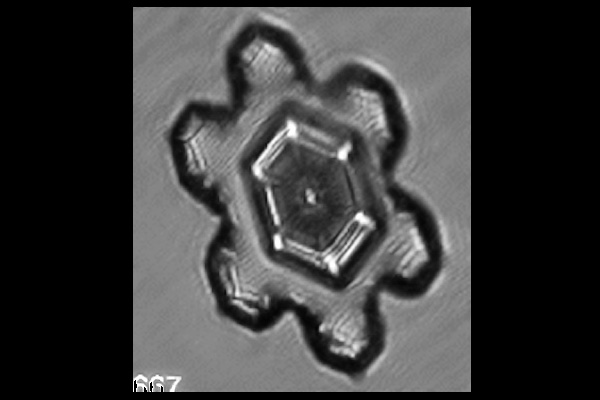 These crystals are formed at -15C at supersaturations just below water saturation. Results from lab experiments show that these crystals occur only in a very narrow range of temperature and supersaturations.