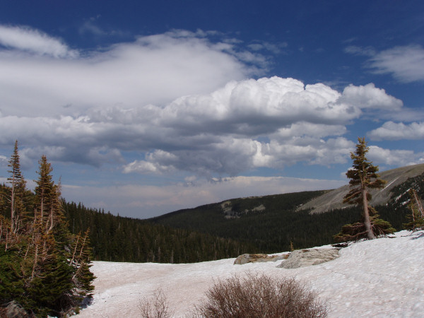 Cumulus Cloud