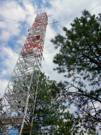 Forest measurement site