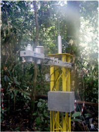 Measurement aparatus set up in a forest canopy