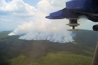 Forest Fire Plume