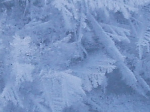 Frost flowers on an artificial lead