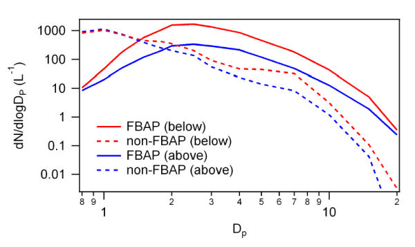 Size Distributions