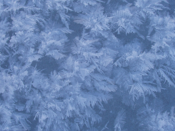 Frost flowers