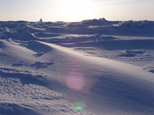 Ice Landscapes