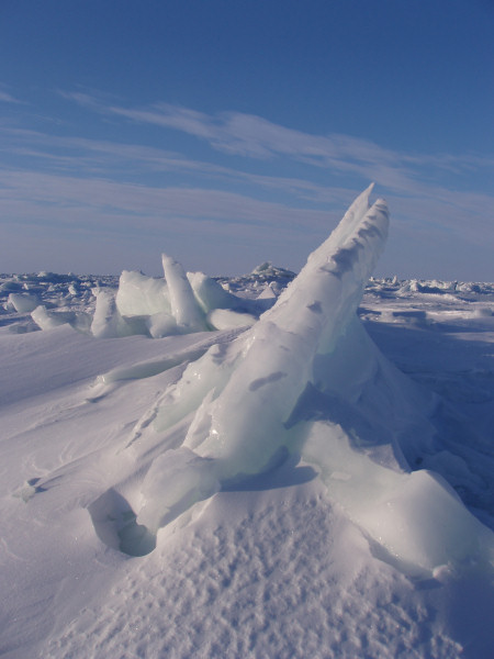 Arctic Sea Ice