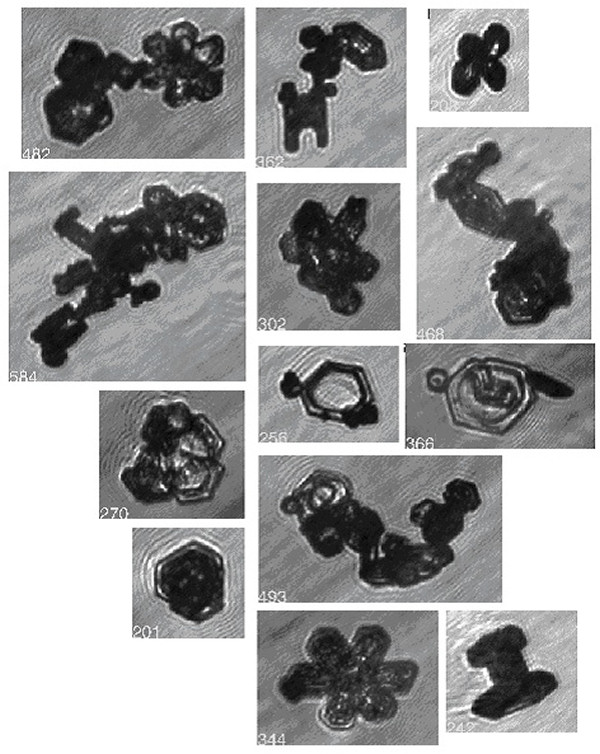 Ice crystal images from the EMERALD2 project. During this project in anvil outflow cirrus many large aggregates were observed.