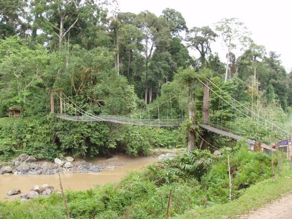 Danum Valley Field Centre 