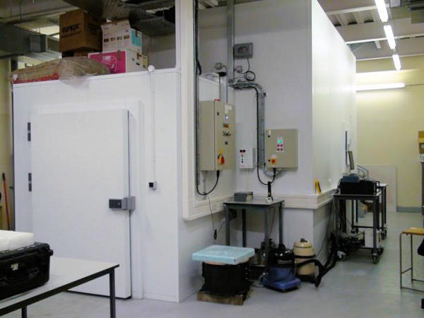 Basement cold room lab.