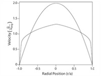 A comparison of fully developed laminar and fully developed turbulent velocity profiles.