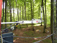 Forest measurement site