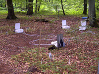 A multiple chamber system to directly measure fluxes to and from a forest floor.