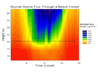 Fig 2a. Diurnal Ozone flux measured within and above a Beech forest.
