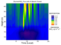 Fig 2b. Diurnal NO2 flux measured within and above a Beech forest.