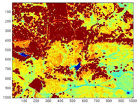 Figure 2. NDVI derived from hyperspectral IKONOS data for a grassland/forest site.