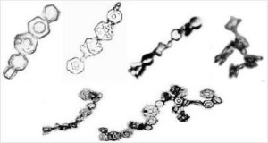 Chains of plate crystals observed in the lab