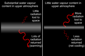 Radiative effect of water in the upper tropsphere