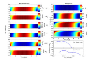 Model Output