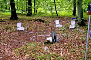 A multiple chamber system to directly measure fluxes to and from a forest floor.
