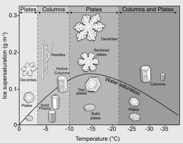 Ice crystal habits at different temperature and humidity