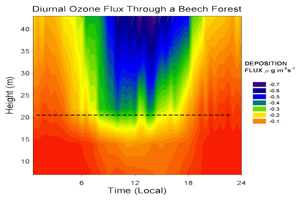 Fig 1. Diurnal Ozone flux measured within and above a Beech forest.