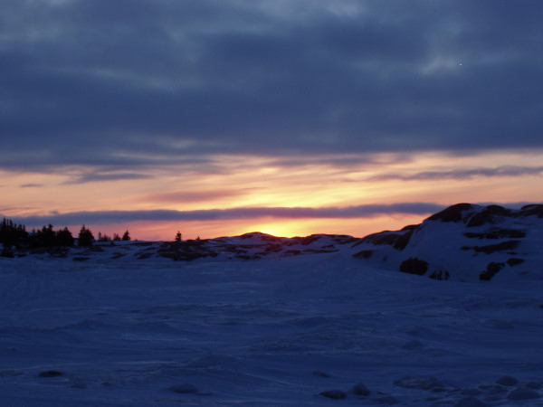 Ice Landscapes