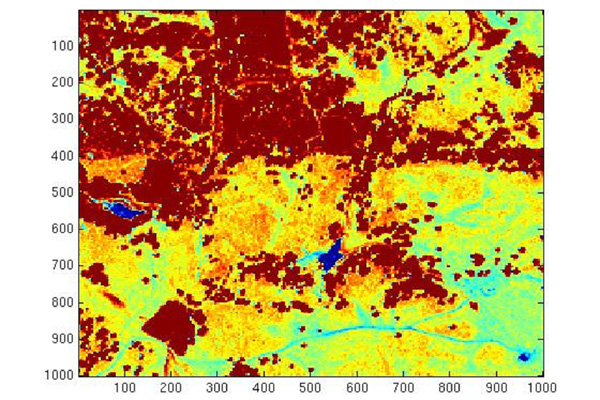 Fig 2. NDVI derived from hyperspectral IKONOS data for a grassland/forest site.